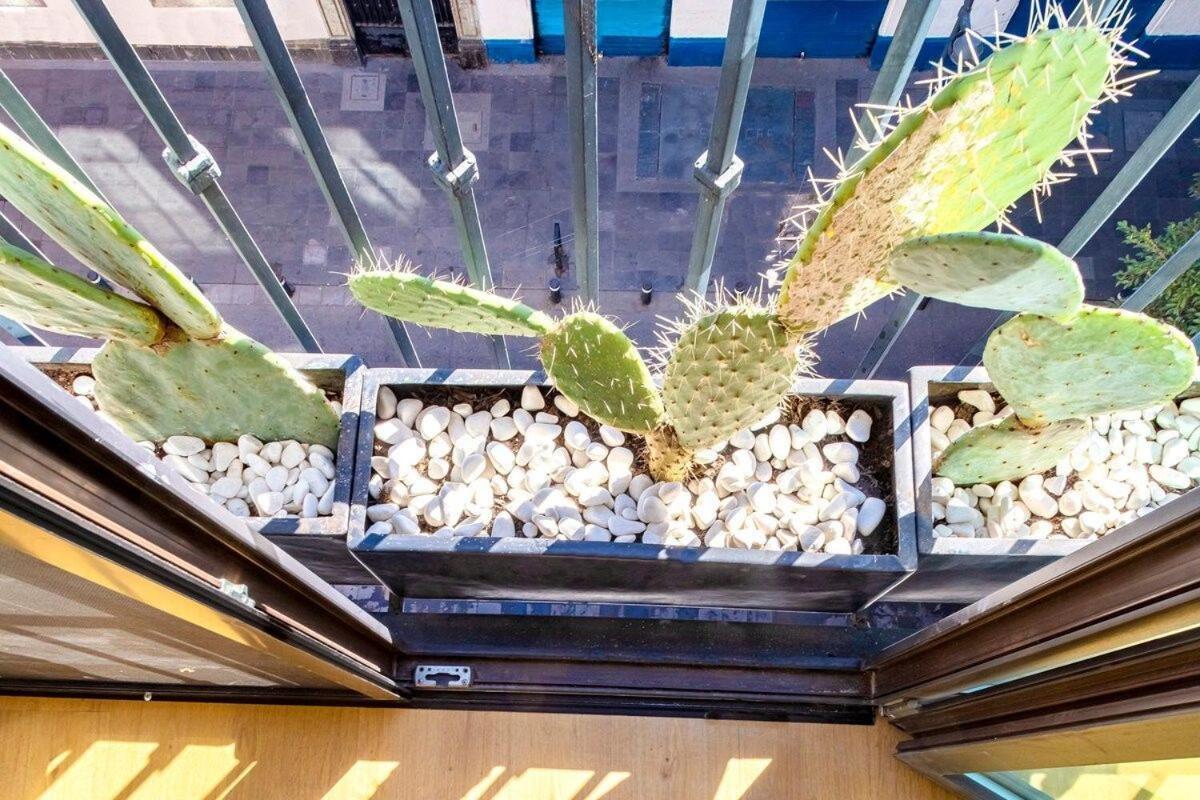 Loft Boho En El Centro Historico Imperdible Apartment เม็กซิโกซิตี้ ภายนอก รูปภาพ